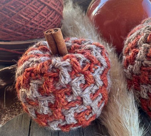 SMCopy of Mosaic Argyle Pumpkins Landscape (4) - Erin Toews