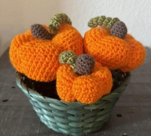 festive-Clover Decorative Pumpkins (photo 1).JPG