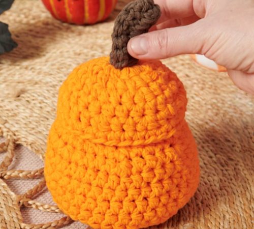 festive-Crochet Little Pumpkin Jar